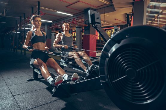 Steroïdes et prise de masse sèche : stratégies pour augmenter la taille musculaire sans prendre de graisses Steroïdes et prise de masse sèche : stratégies pour augmenter la taille musculaire sans prendre de graisses
